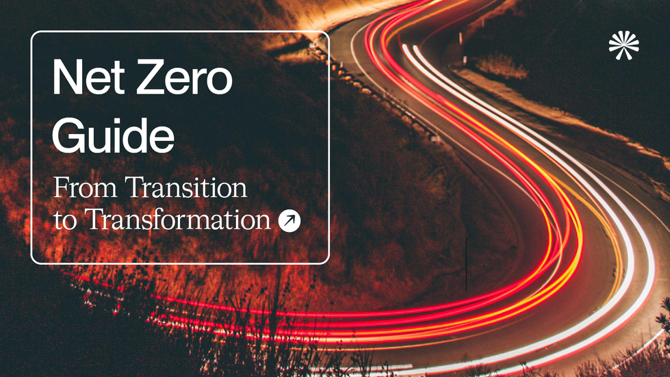 Anthesis Net Zero Guide LinkedIn Ad