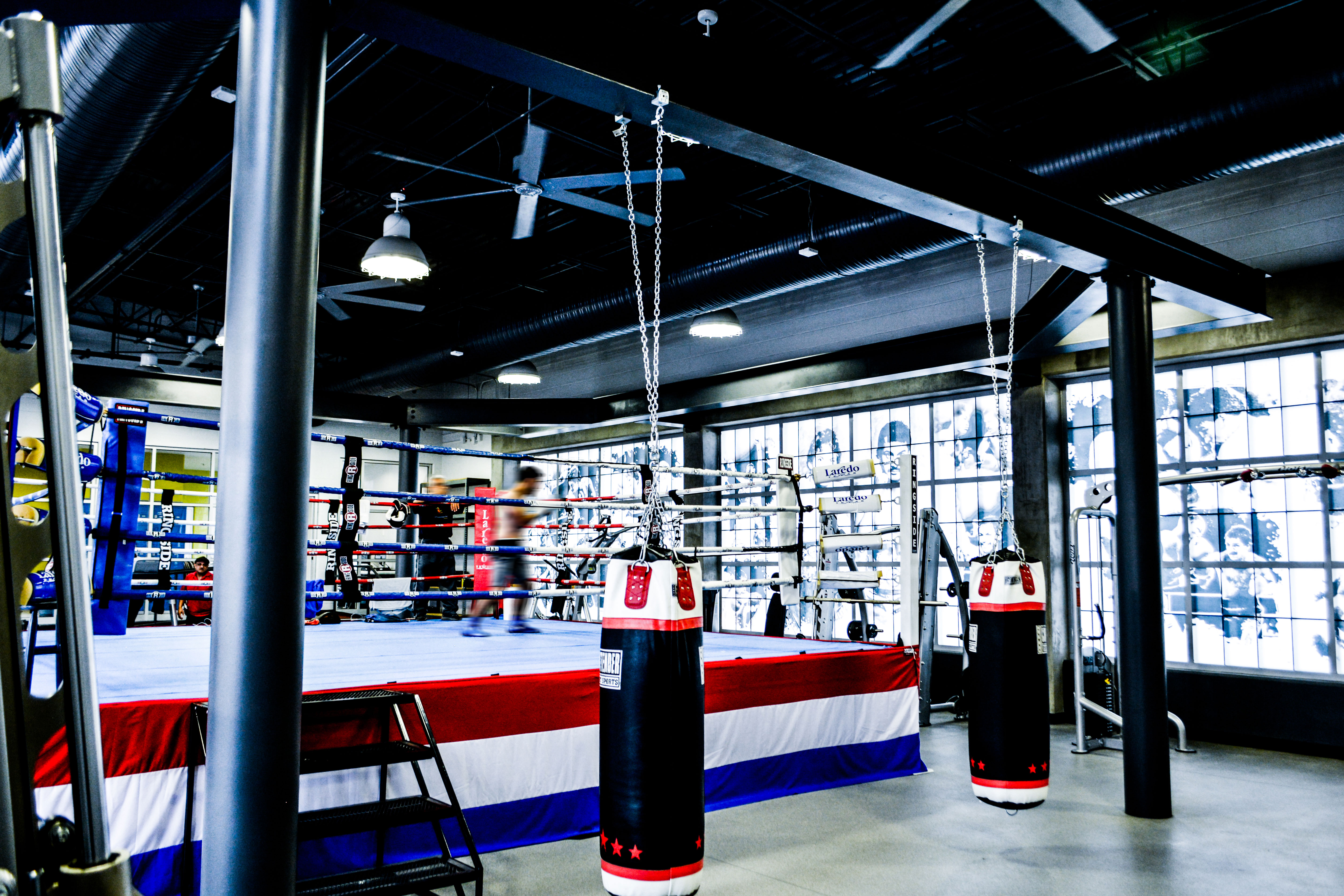 Canizalez Boxing Gym frankarchitectsinc