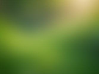 The Importance of Sustainable Living in Today's World