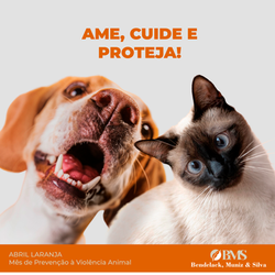 BMS Março_Viva cópia 5