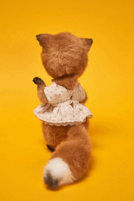 Teddy Fox by Kseniya Moroz