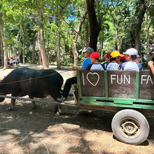 【E3･4】Fun Farm 遠足