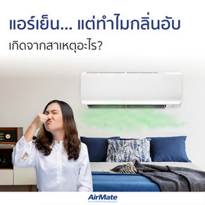 แอร์เย็น… แต่ทำไมยังมีกลิ่นอับ เกิดจากสาเหตุอะไร?