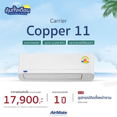Carrier Copper 11  Inverter Plus.jpg