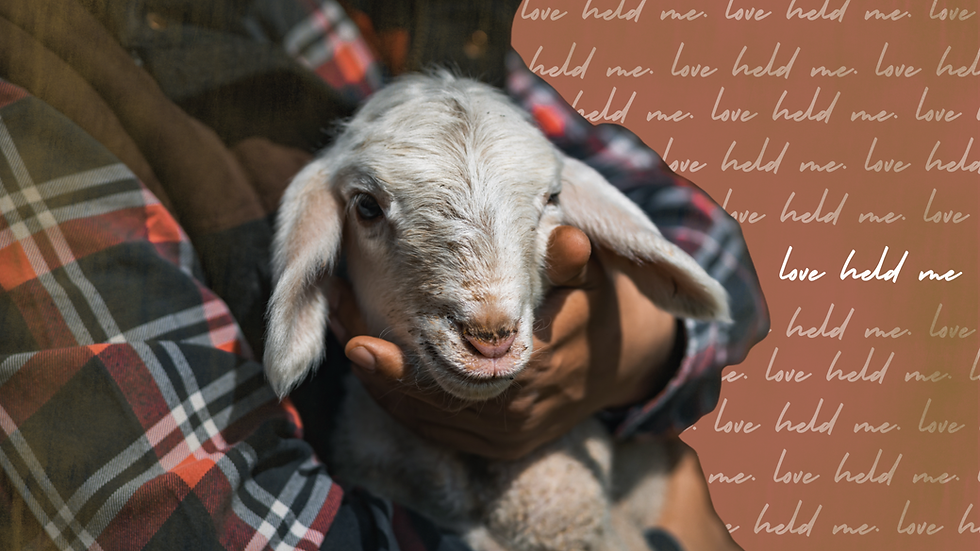 2025 — The Year That Love Held Me.