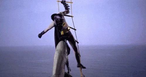 batman-shark-2998354797.gif