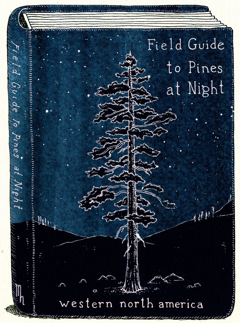 Field Guide to Pines at Night book cover print