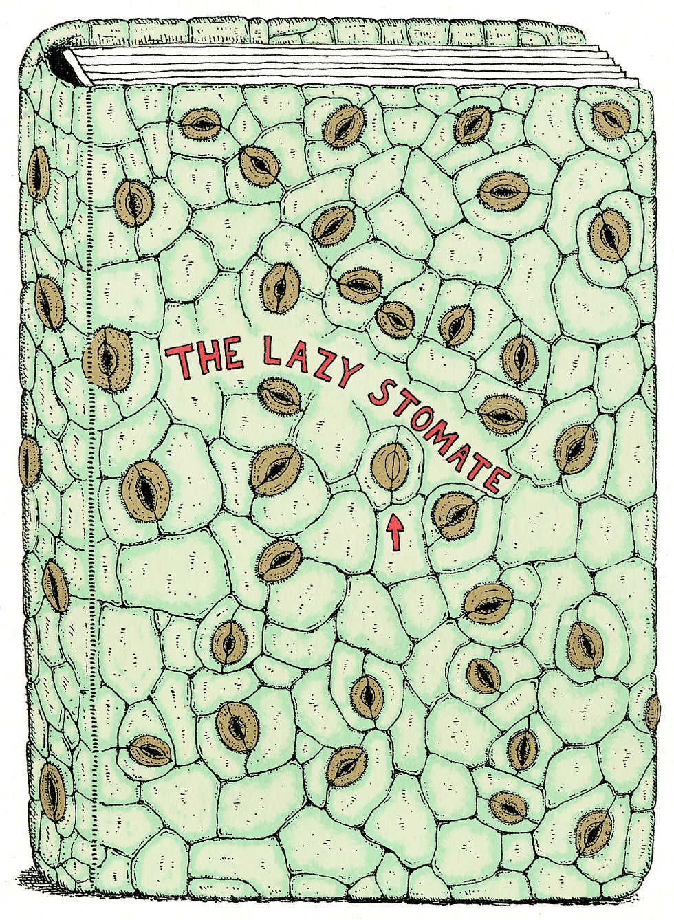 The Lazy Stomate book cover print