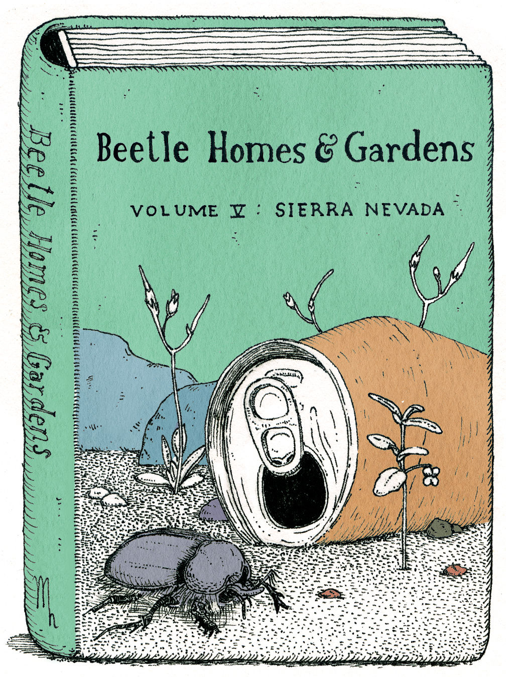 Beetle Homes & Gardens