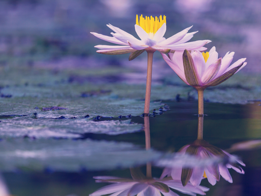 Why Negative Energy Isn’t the Enemy and How to Shift It