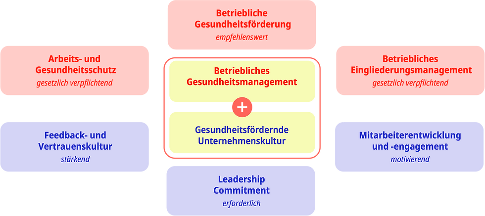 6-Säulen-Modell BGM PLUS