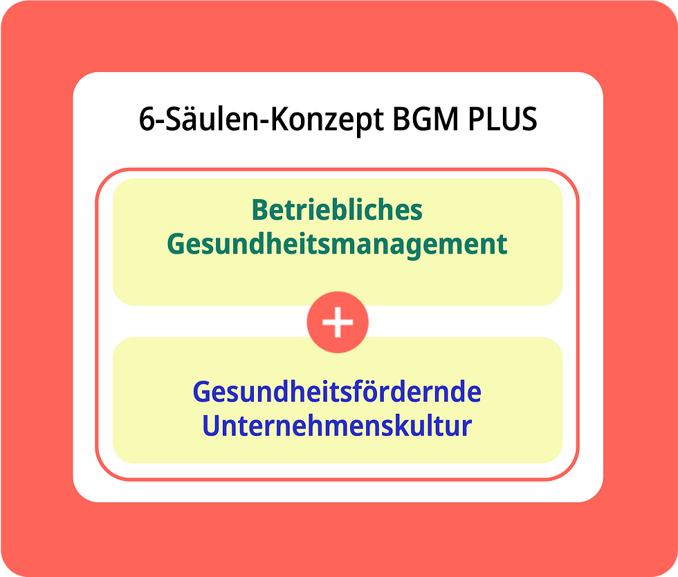 BGM-PLUS-Konzept