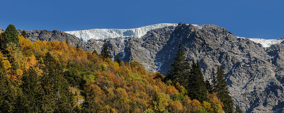 Végétal et minéral