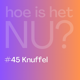 Hoe is het NU? gratis korte meditaties