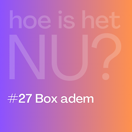 Hoe is het NU? gratis korte meditaties