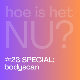 Hoe is het NU? gratis korte meditaties