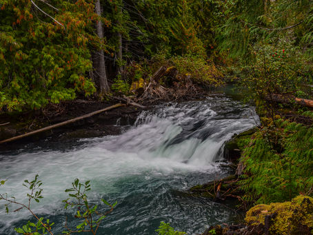 Nass Valley and Nisga's Lisims Territory