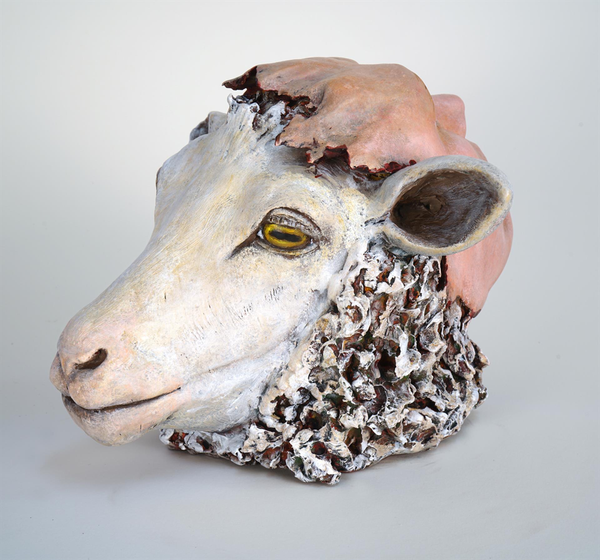 TheaCinnamonMaker-Sheeple-AwardOfExc