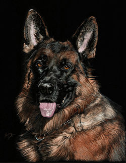 3rd Place Animal "Noah"