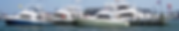 shapeimage_1 (1).png