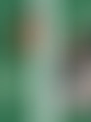 Manual de buenas prácticas en Terapias Asistidas con Animales