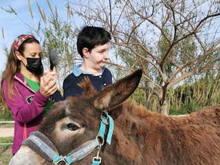"El burro es sociable, dócil, paciente y tiene buena memoria" de @AquiMediosDeComunicacion