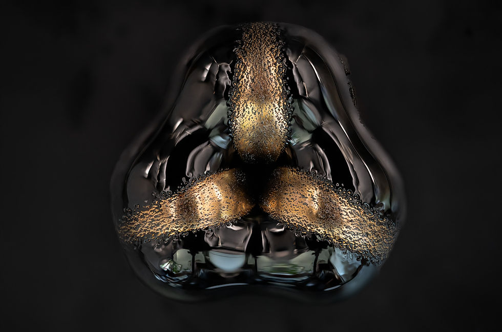 Speed-of-light-vector