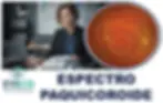 Entenda o Espectro Paquicoroide, Sintomas, Diagnóstico Preciso e Tratamentos de Última Geração e mais recentes.