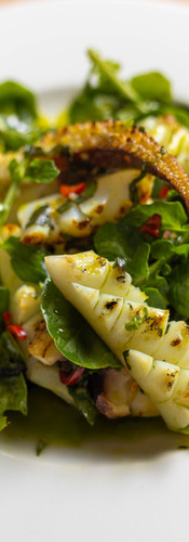 A macro shot of an octopus dish on a white plate. The octopus is mixed in with green leaves and on the left side of the plate there is a slice of lemon.