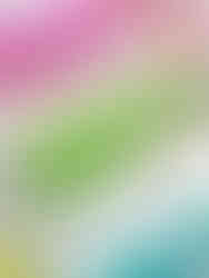 Three cans of Still Sisters are laied in a bed of ice,