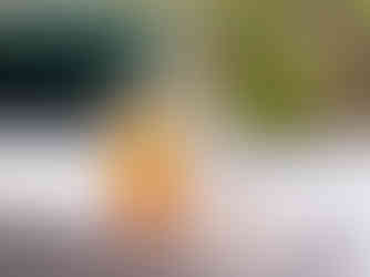 Shot in Bristol based photography studio a glass and bottle of double dutch are in the middle of the frame on a white marble table. In the background there is a large plant and green velvet chair. The lighting is casting harsh shadows.