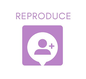 Reproduce.jpg