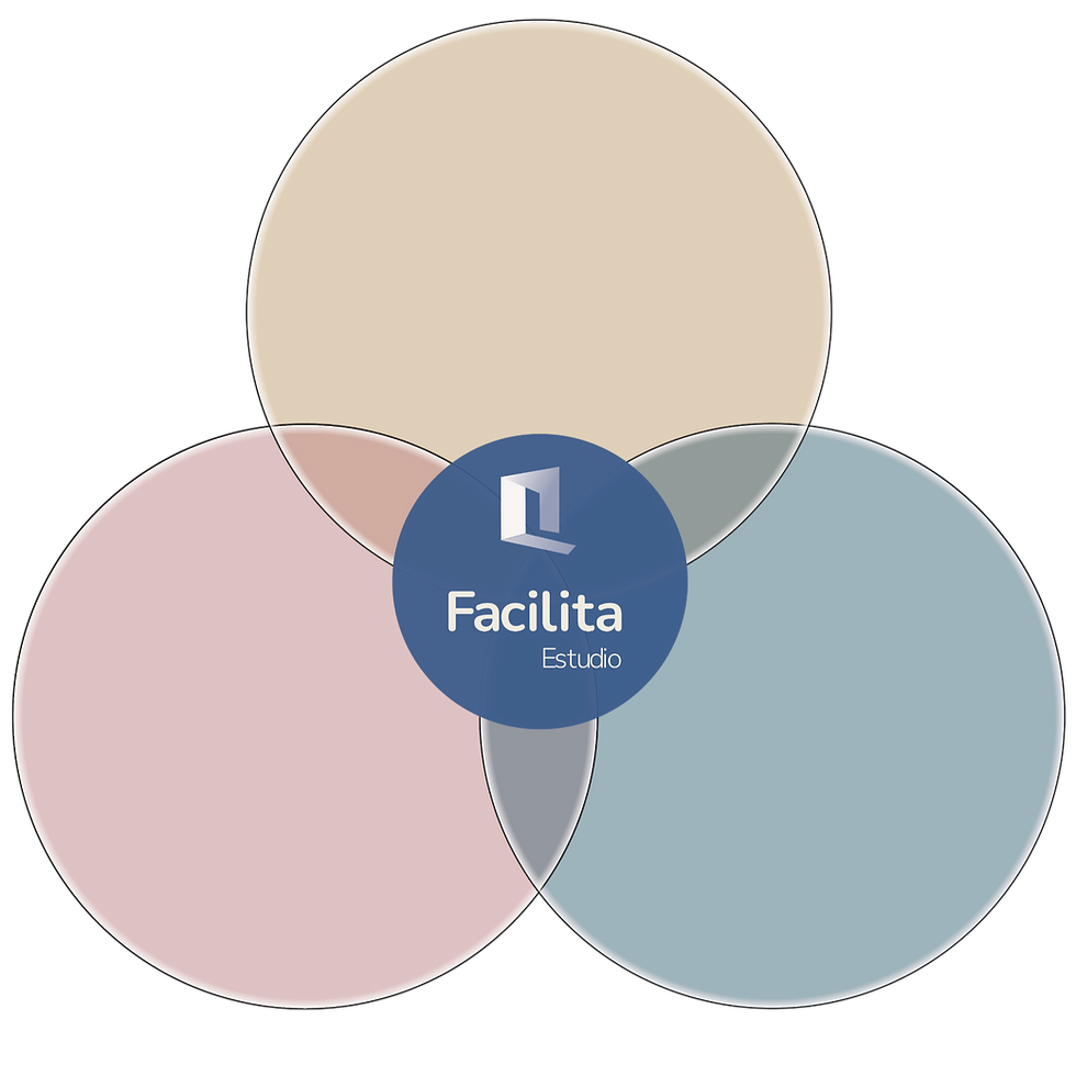 Base mirada interdisciplinar 2_edited.png