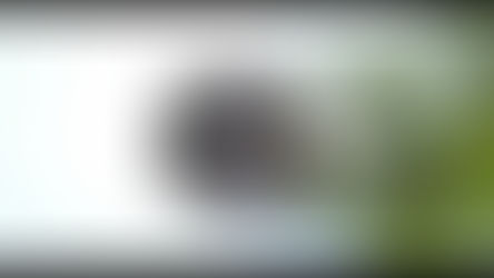 9. going outside of the perhaps edges of body