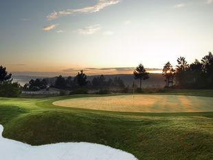 Golf Course Management