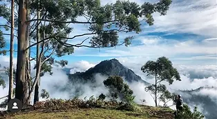 Viewpoint.webp