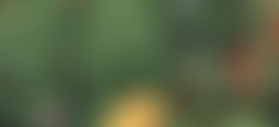 When Is a Weed a Weed? And When a Weed Is Not