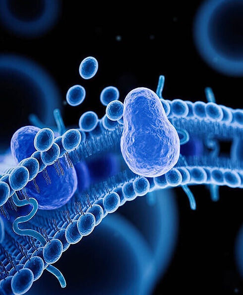 Cells-e1629353715860.jpeg