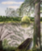 Le saule a Clotilde.D