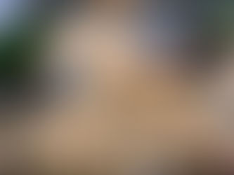 Bike & Bite Tour of Joo Chiat and Katong