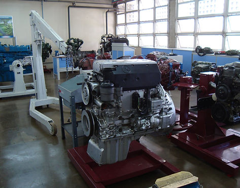 diversificada 045.jpg