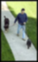 Overhead of me walking Storm and Samson