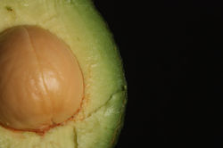 Fruit