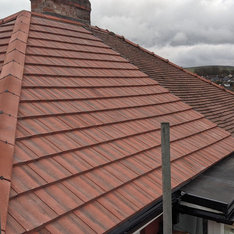 PXL_20201110_114157353.MP copy.jpg