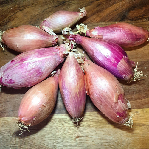 Banana Shallots 500g