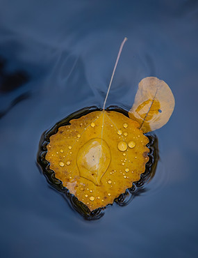 EXPO MENDE 2024-14.jpg