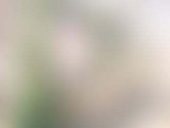 Bridgerton Baby Shower