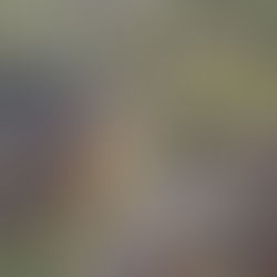 Emmanuel Meuris, Village en contre-bas, d'après Drouot, Pinterest, Google, Facebook et Peintres Liégeois