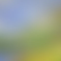 Richard Heintz, Les Rochers de Sy au Soleil (juillet 1923), Collection privée