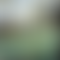 Armand Jamar, Poules devant l'Eglise, d'après l'iconographie Artnet, Pinterest et Google